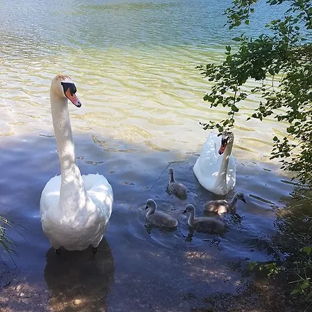 Casa Patrizia Appartement Schwangau